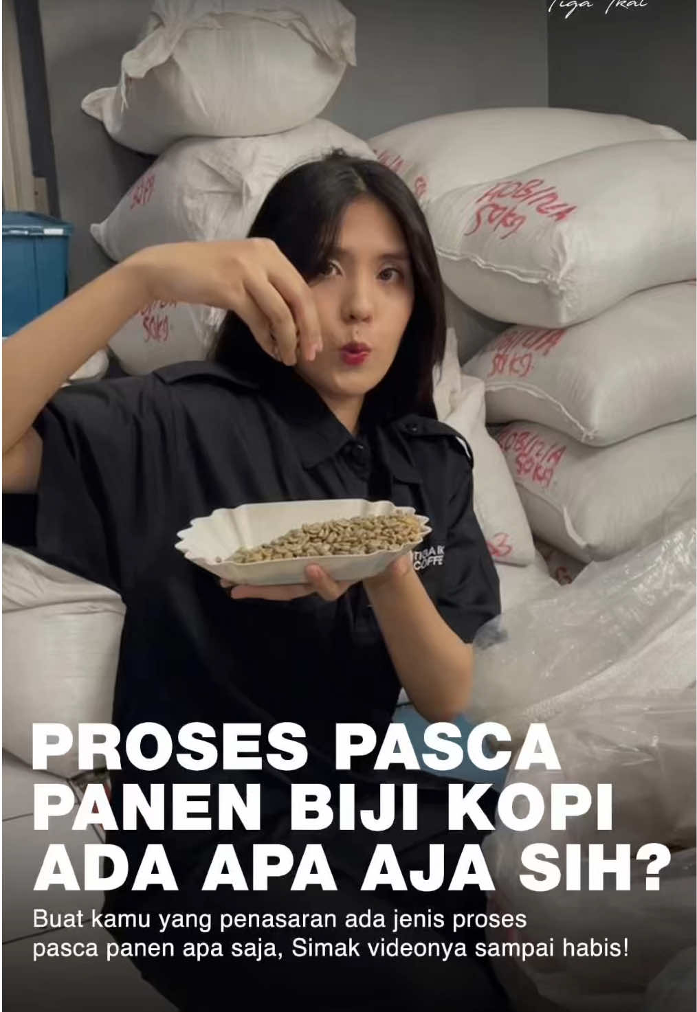 Ada banyak proses menarik dibalik cangkir kopi #temanseikat - Natural, Fullwash, Semi-wash, Blackhoney, dan Wine. 🌱✨ Semua proses ini kami pilih dengan kualitas terbaik, semua ready stock untuk kebutuhan kafe, roastery, dan resto #temanseikat. Kalau kamu, tim proses yang mana? Yuk, eksplor semua rasa di Tiga Ikat Coffee Supply! Credit: video #TemanSeIkat #tigaikatcoffeesupply  #pascapanen  