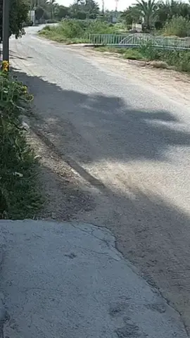 #CapCut 
