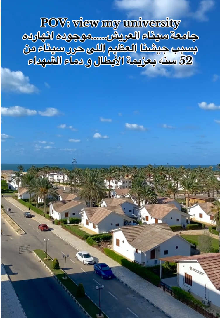 View Sinai University (Al Arish) #fyp #trend #university #اكسبلورexplore #viral 