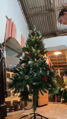 It's begin to look like christmas ❄️☃️🎄#redpineconechristmastree #christmastree #fyp 