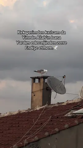#idilli 