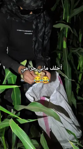 محد يعطينا عرانيس بدنا نبوق 😂#سلوك_تل_ابيض_راس_العين_نبع_سلام #الشعب_الصيني_ماله_حل😂😂 #مشاهدات_تيك_توك #تصويري #اكسبلور 