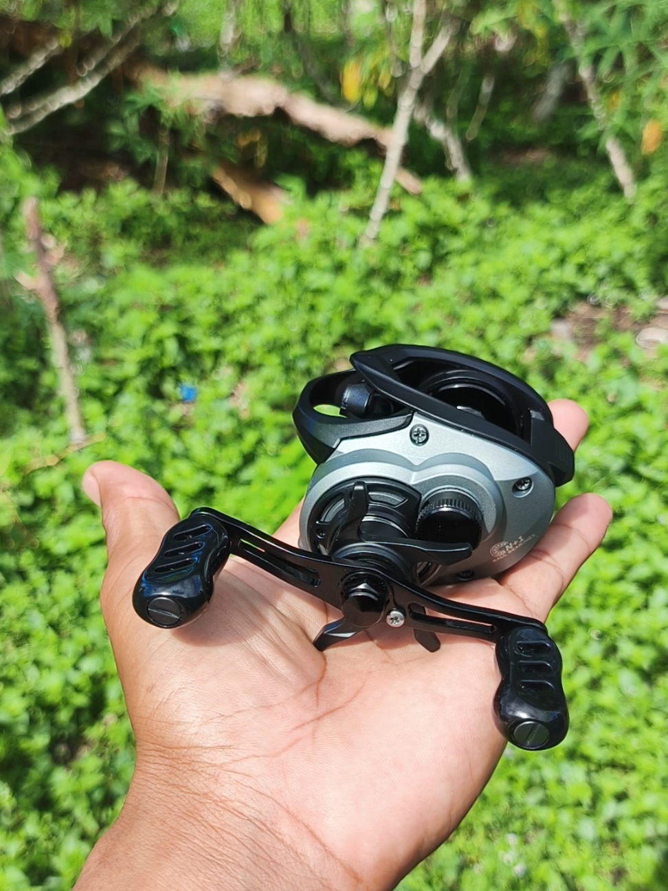 zorro hybrd #fyp #reelbc #casting #videoviral #fishing 