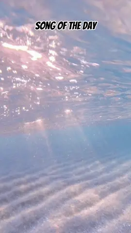 #songofday #viralvideo #songrequst #fypシ #nobodynoticedme 