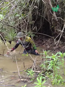 Tak di Sangka di Rawa