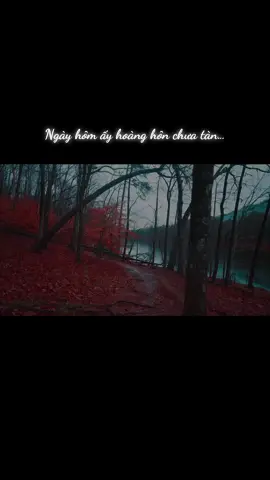 Vỡ nước mắt🎶🎶