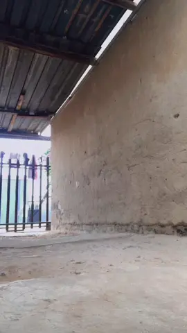 #vipergunn #beekaysa23 #youngstunnadancechallenge🇿🇦🇿🇦 