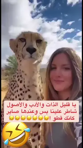 #الشعب_الصيني_ماله_حل😂😂 