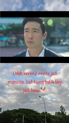 Kalian udah nonton belum Drakor satu ini #geniemakeawish #baesuzy #kimwoobin #drakor #fyp 