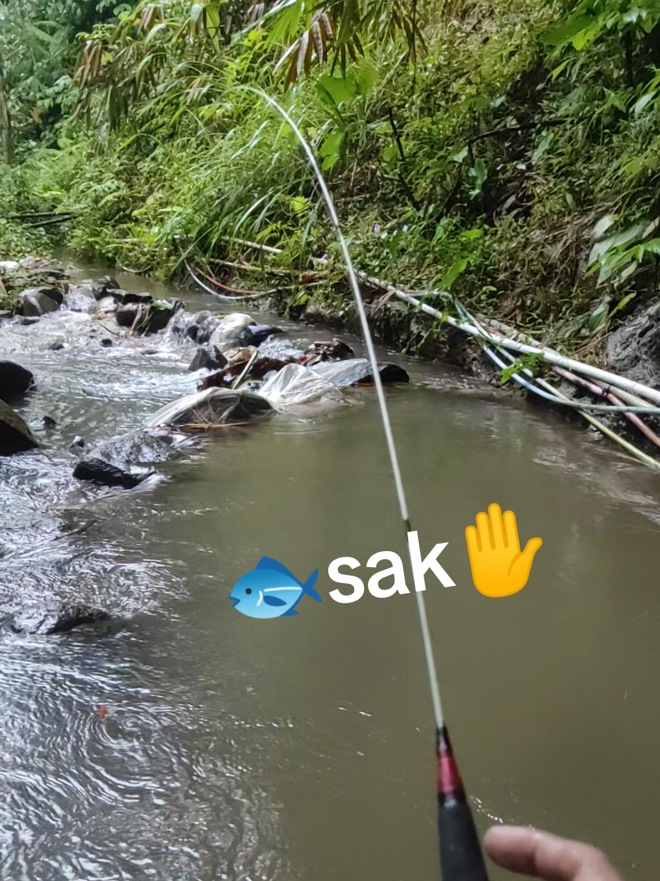 iwak sakmene✋#fyp #fishing #mancing #mancingmania #microfishing 