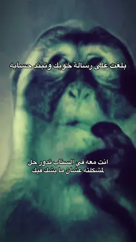 حصل 
