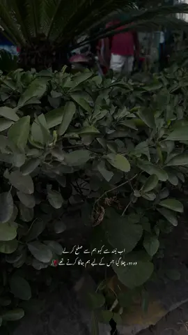 Hn🥹#ellusion #urduline #urdupoetry #fyp #viral 