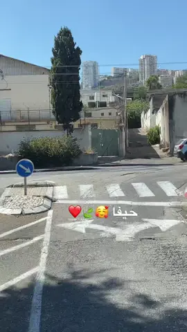 ❤️🌹🌸❤️🍃