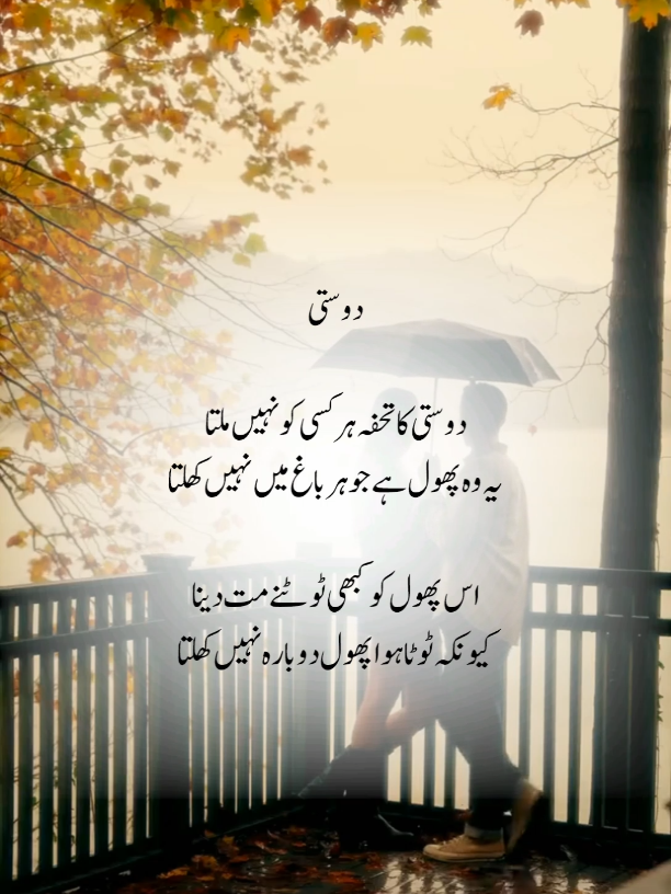 Dostiii 🫂💯.. #mirzaghalib  #urdu  #urdupottery  #urduline  #potterytiktok 