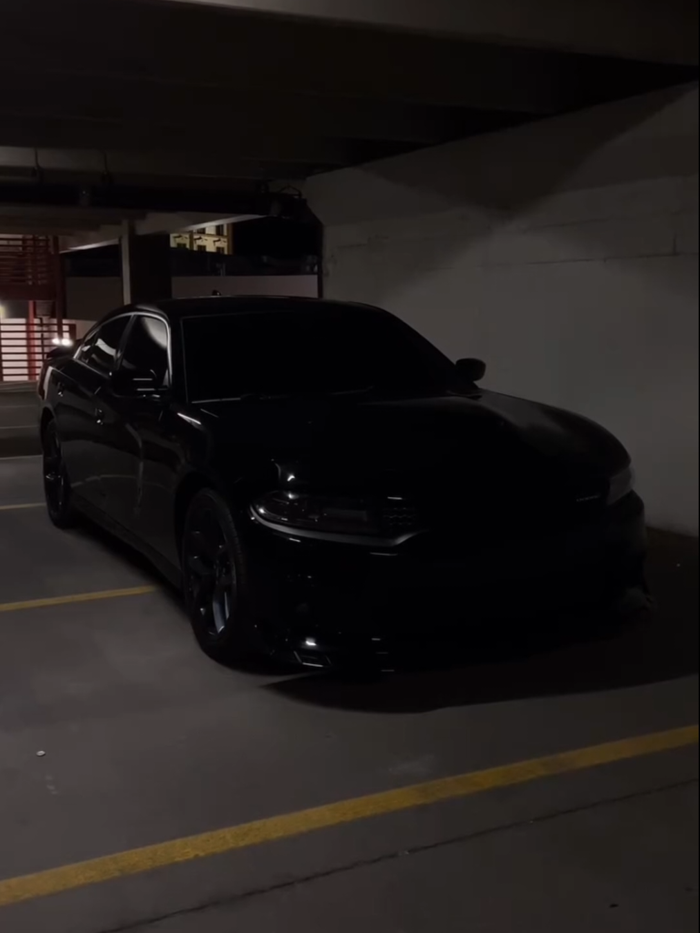 والله حرام يروح علفاضي تعبي #دوج_تشارجر  #عراقي  #اغاني  #اكسبلورexplore #fyp 