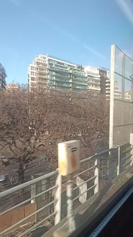 #🇦🇷 