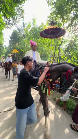 #အသက်ကြီးပင်မဲ့မပျက်စီးသေးဘူး #fyp #မြင်းဝါသနာရှင်အပေါင်းအားလေးစားလျှက်🙏 #foryoupage #မြင်းဝါသနာရှင်များလေးစားလျှက်💛 