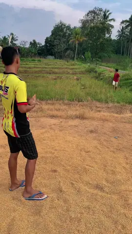 #CapCut Perdana bawa kolongan 🫣 adik nya pupur.. piyik iwir” 😅 semoga jd sesuatu nak 😎 #merpatiindonesia #merpati #videoviral #merpatikolongan 