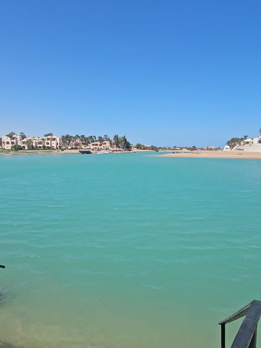 🐫☀️🌊 #fyp #egypt #view #hotelroom 