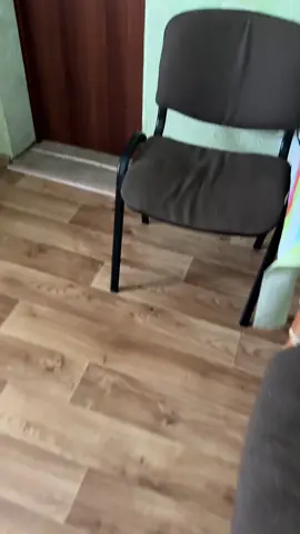 Пубертатный период #специалист #animals #dog 