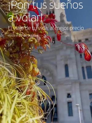 Vuela donde siempre has soñado. Echa un vistazo a nuestras ofertas, ¡hasta el 12 de octubre!