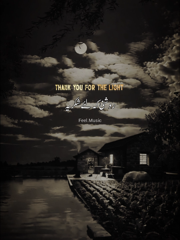 Thank you for the light #trending #songslyrics #feelmusic41 #english #unitedkingdom 