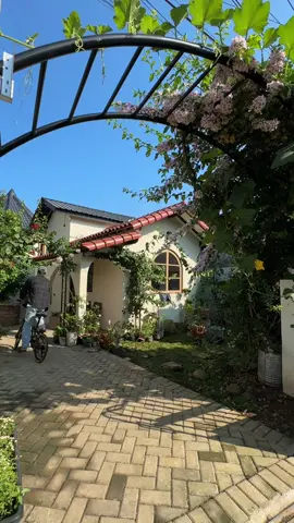 Membalas @cl🅰️ Seneng banget liat tanamannya udah pada tumbuh subur, begitupun sama rumahnya 🥹✨ Bougenvillenya juga udah mulai nutup pergola pagar di atas tiap hari makin cantik aja, bonusnya sekarang malah ada labu tumbuh sendiri, yang bentar lagi berbuah 😅 Rumput di halaman  udah mulai hijau, udah berasa rumah banget 🏡