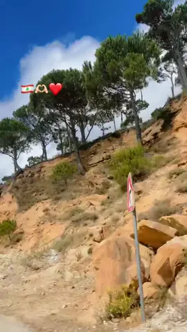 🇱🇧❤️🫶🏻