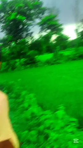 ⚔️👑ছোট নবাব👑⚔️