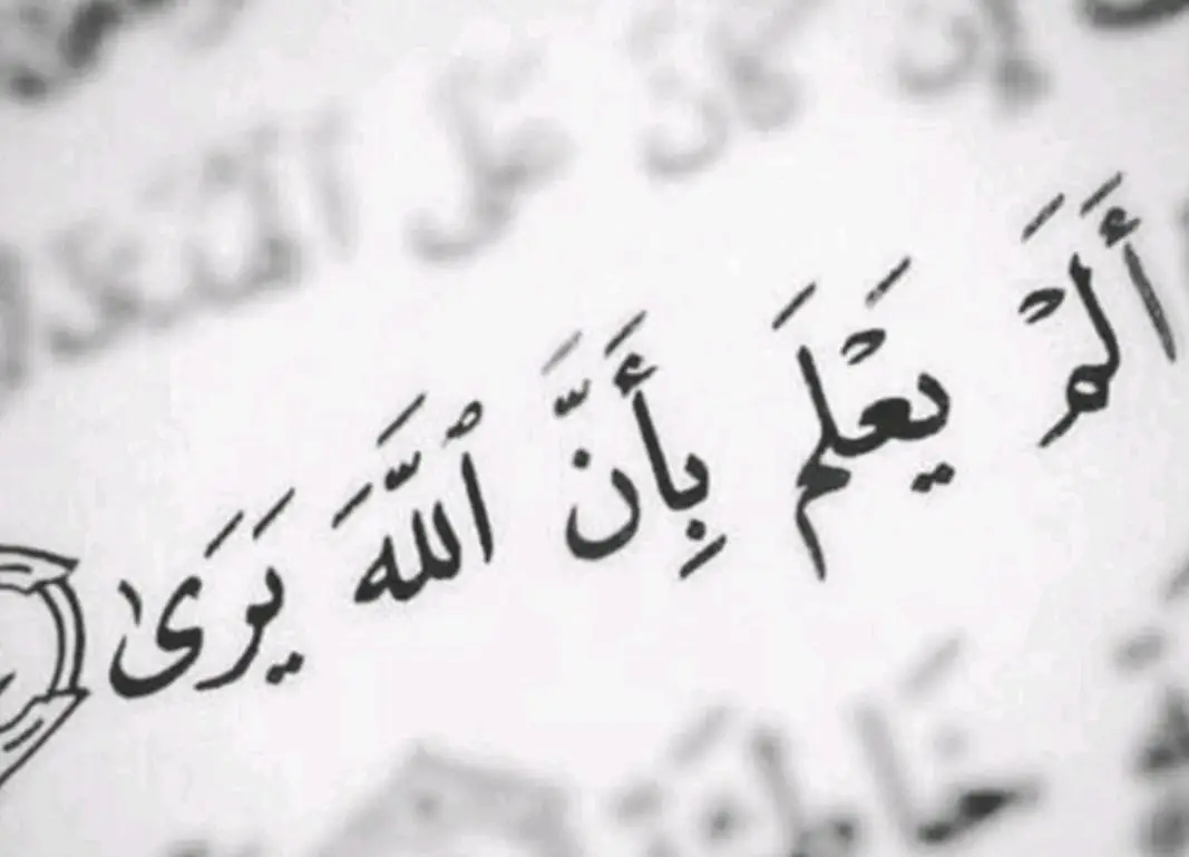 الم يعلم باان الله يرى  yalla nañou yalla yeureum 🤲🤲