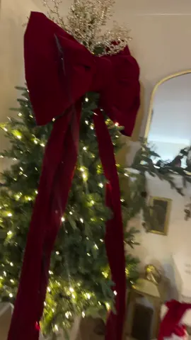 #laleona🦁🇩🇴 