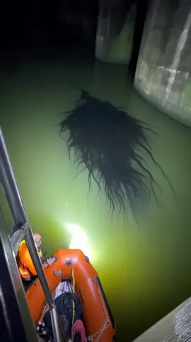 The Panama meteorite alien appears to be growing larger with each new sighting. This time, it was spotted drifting at night near the Madden Dam in Panama. According to local workers, they were on a routine night patrol when they noticed something unusual in the water. At first, it looked like a mass of dark algae - but then it began to move and swirl on its own. The team rushed back to the station to alert the authorities, but by the time they arrived, the strange black creature had vanished without a trace. #venom #venomkin #panamaalien #alienfiles 