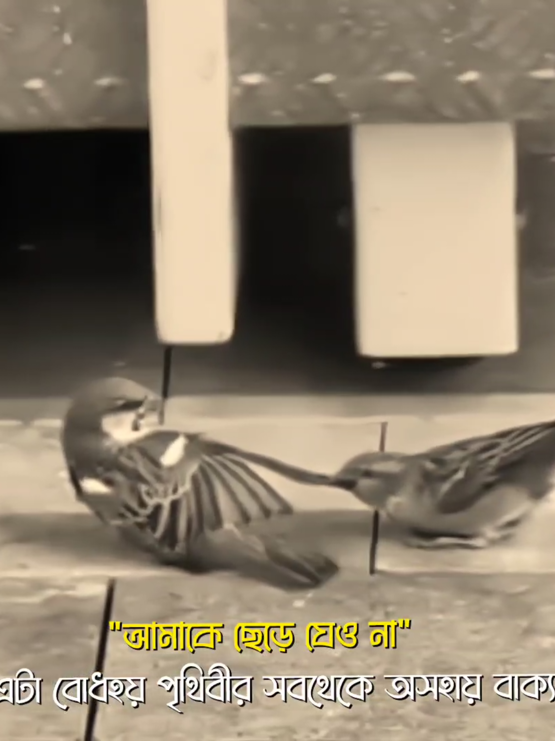 ছে'ড়ে যেও না....!! 