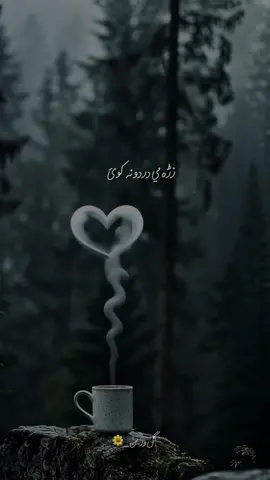 دہ زڑہ پہ سر دئ راتہ ایخی دي داغونہ یارہ 💔🥹 #video_viral #foryou #pashtosong #unfreezemyacount #100kviews 