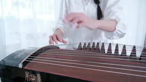 Bá Hổ Thuyết - 伯虎说 - Guzheng cover #guzheng #dantranh 