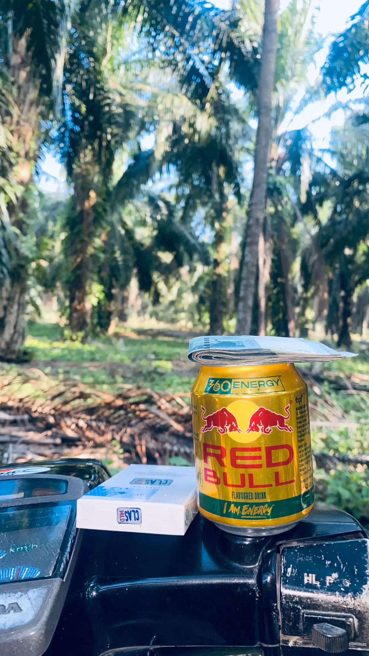 #pemanensawit #kulisawit #petanimuda #anakrantau 