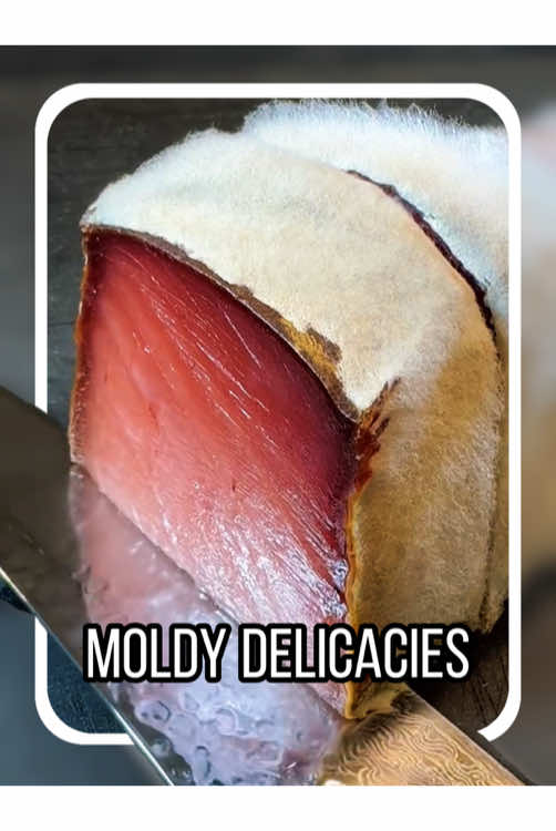 What kind of moldy food is this? #usa #popular #usa_tiktok #america #food 