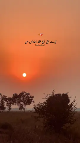 🍂❤️‍🩹#پنڈاں_والے #sani_estics1 