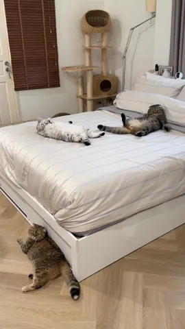 กลับมาแล้วหรอยายยย 