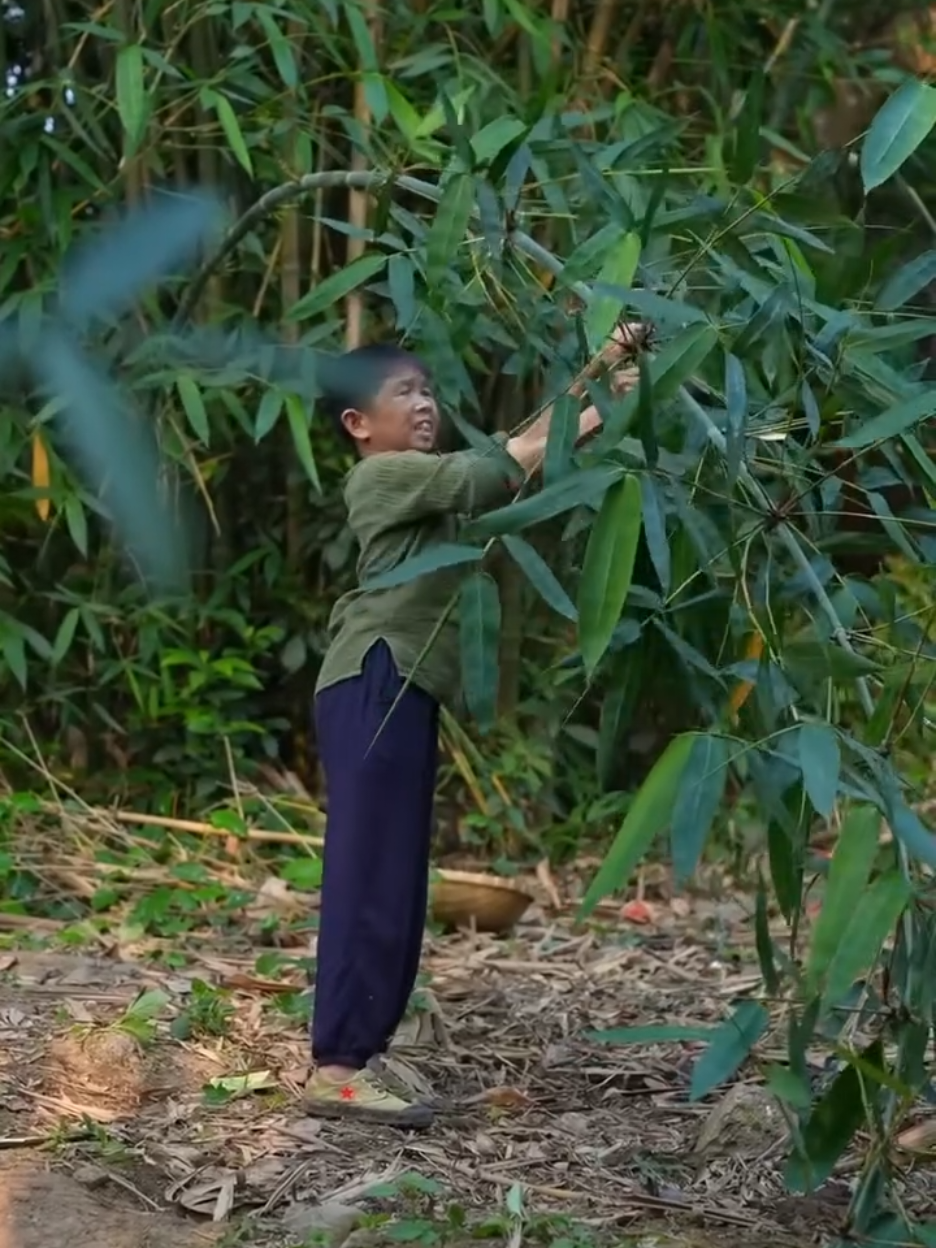 The wind shook the green bamboo branches, refreshing the heart. The fragrance of bamboo leaves and shrimp meat blended together to create a taste of happiness. #food #cooking #KangzaiFarmers #Dailylife 