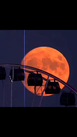 یہ تیرا غم ہے جو مجھے کو مشہور کر رہا ہے ،🥀🕊️❤️‍🩹#fpyシ #vewsproblem #growmyaccount #tringdlingshray #fppppppppppppppppppp 