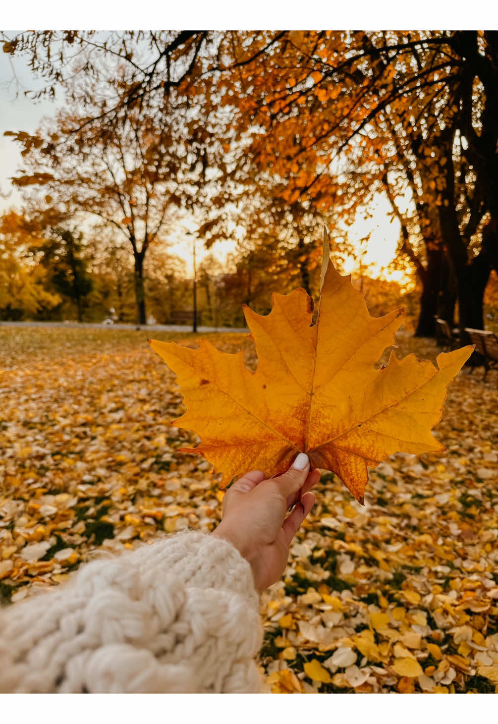 Ootd 🍁🤍 link în bio cu toată ținuta 🧸  - folosește codul October pentru 40% reducere.  #fyp #grwm #OOTD #fashion #trendyol 