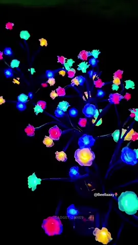 Solar garden lights for outdoor decor ✨😍🛒 #solargardenlight #solarlights #gardenlights #fyp #trending 