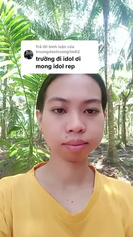 Trả lời @truongdantruong1m82 #nhacdancamientay #canhdepthonque #camnhicover #cover 