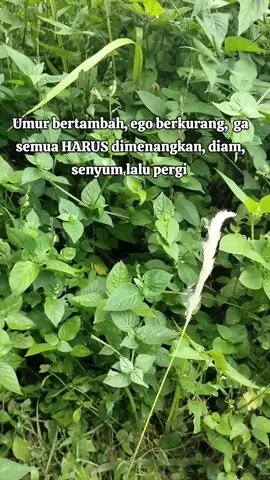 Semua harus berjalan dgn logika  #viral #fyp #lewatberanda 
