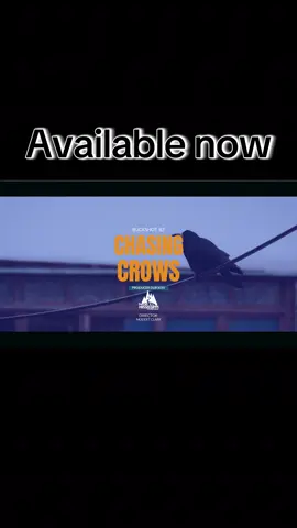 Chasing the Crows by BuckshotBZ of shotcrew is available on all platforms! 
