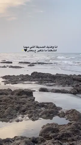 #في هذا اليوم 