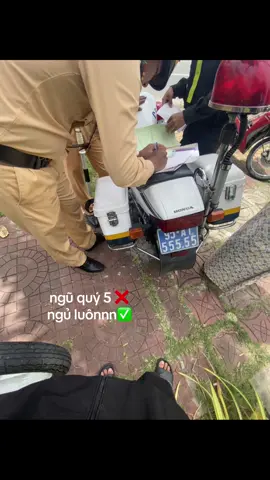 thua thì chung nha ae 🥲🥲🥲#xuhuongtiktok #giaothong 