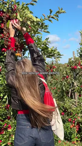 the apples were SO sweet they really could’ve been candy 🥹🍎 #autumnactivities #applepicking #wholesomelife 