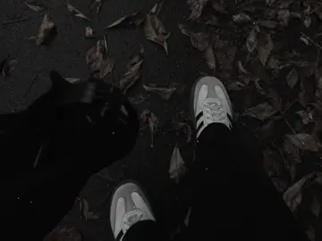 chợt nhìn em xa tầm với..